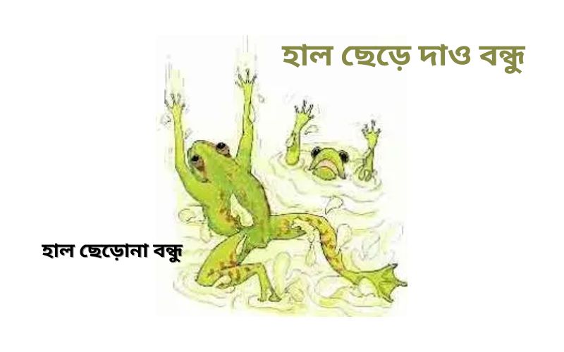 হাল ছেড়ে দাও বন্ধু